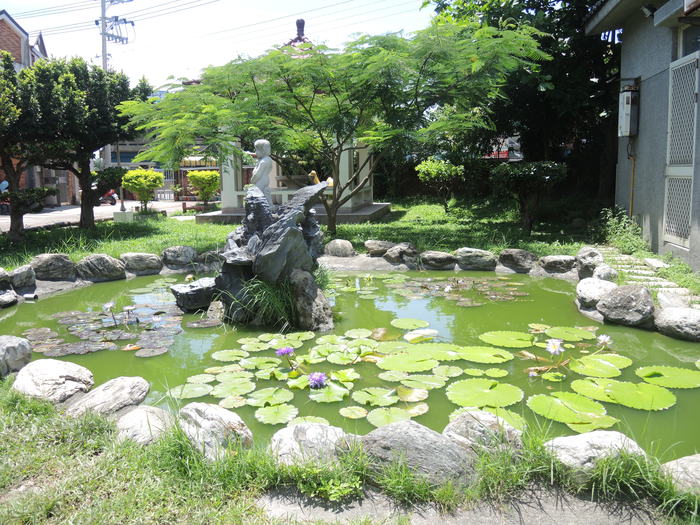 漂亮校園荷花池01